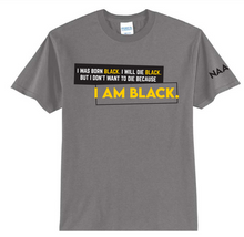 Load image into Gallery viewer, I AM BLACK T-Shirt
